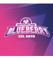 BLUEBERRY AUTO 4UDS BSF SEEDS