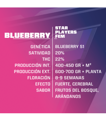 BLUEBERRY FEM 2UDS BSF SEEDS