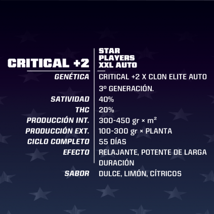 CRITICAL +2 XXL AUTO 4UDS BSF SEEDS
