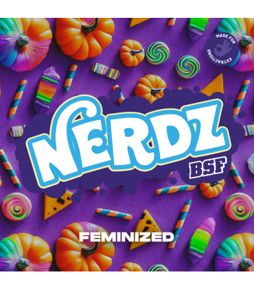 NERDZ 4UDS BSF SEEDS
