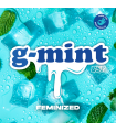G-MINT 4UDS BSF SEEDS