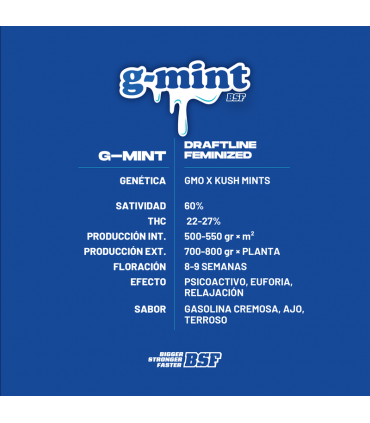 G-MINT 2UDS BSF SEEDS