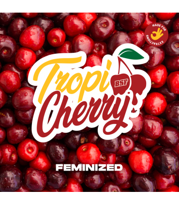 TROPI CHERRY 4UDS BSF SEEDS