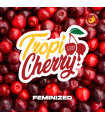TROPI CHERRY 2UDS BSF SEEDS