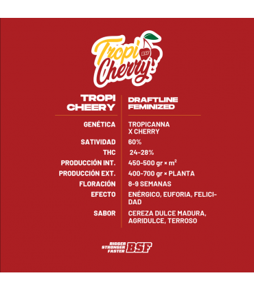TROPI CHERRY 2UDS BSF SEEDS