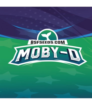 MOBY-D XXL AUTO 4 UDS BSF SEEDS