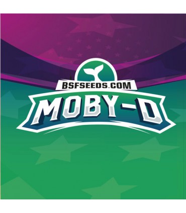 MOBY-D 4 UDS BSF SEEDS