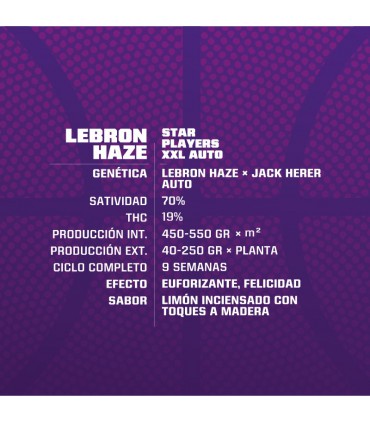 LEBRON HAZE AUTO 2UDS BSF SEEDS