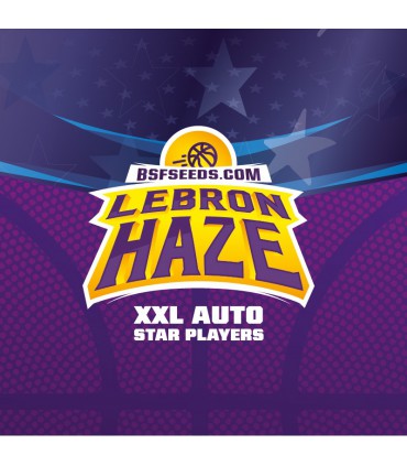 LEBRON HAZE AUTO 2UDS BSF SEEDS
