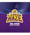 LEBRON HAZE AUTO 4UDS BSF SEEDS