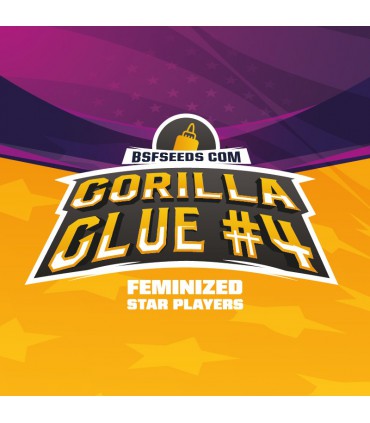 GORILLA GLUE 4 GK 4UDS BSF SEEDS