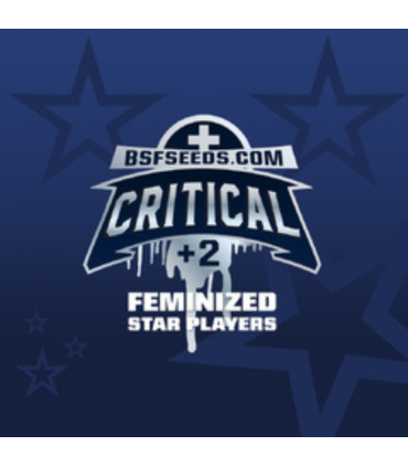 CRITICAL +2 FEM 4UDS BSF SEEDS