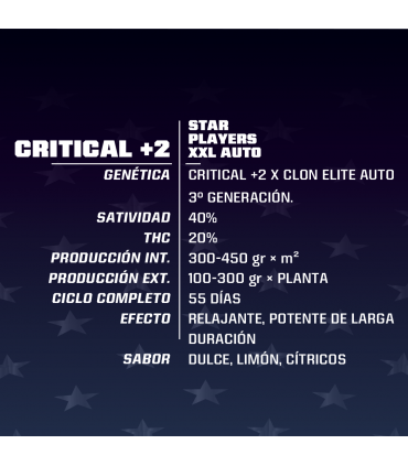 CRITICAL +2 XXL AUTO 2UDS BSF SEEDS