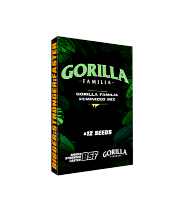 GORILLA FAMILIA GK 12 UDS BSF SEEDS