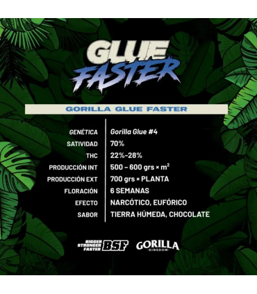 GORILLA GLUE FASTER GK2UDS BSF SEEDS