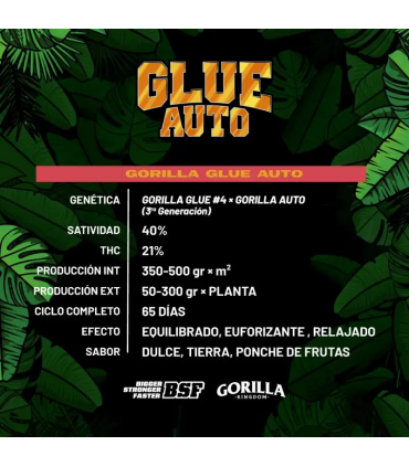 GORILLA GLUE AUTO GK 4UDS BSF SEEDS