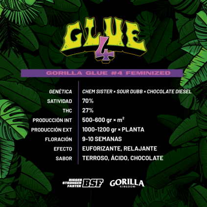 GORILLA GLUE 4 GK 2UDS BSF SEEDS