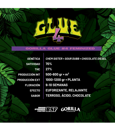 GORILLA GLUE 4 GK 4UDS BSF SEEDS