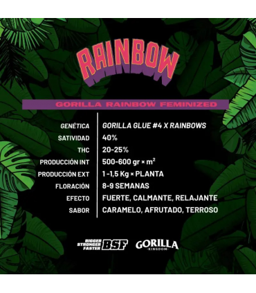 GORILLA RAINBOW GK 4UDS BSF SEEDS