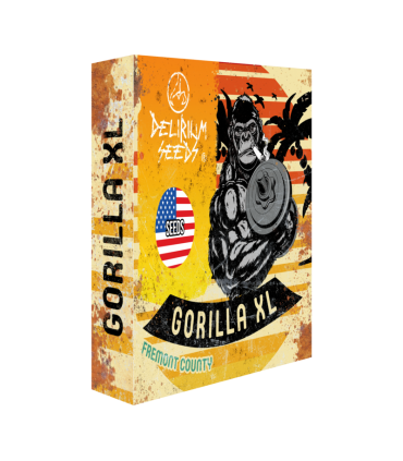 DELIRIUM SEEDS GORILLA XL 4UDS FAST