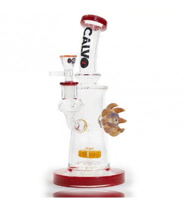 EYE SUN RIG 25CM CALVO GLASS