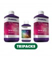 EASY PACK 2,250L PLAGRON