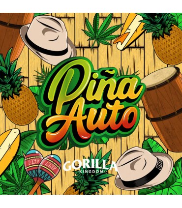 GORILLA PIÑA AUTO 7UDS BSF SEEDS