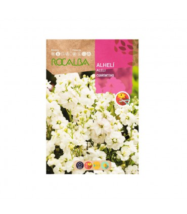 ROCALBA SEMILLA ALHELI BLANCO
