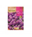 ROCALBA SEMILLA ALISO COMPACTO VIOLETA 1UD