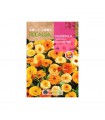 ROCALBA SEMILLA CALENDULA FIESTA GITANA ENANA 1UD