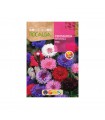 ROCALBA SEMILLA CENTAUREA DOBLE 1UD