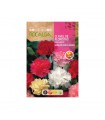 ROCALBA SEMILLA CLAVEL DE LOS FLORISTA 1UD