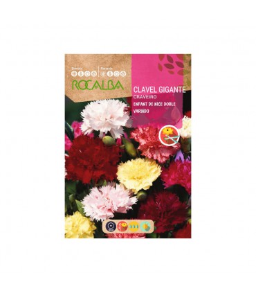 ROCALBA SEMILLA CLAVEL GIGANTE VARIADO 1UD