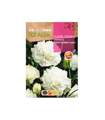 ROCALBA SEMILLA CLAVEL GIGANTE BLANCO 1UD