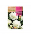ROCALBA SEMILLA CLAVEL GIGANTE BLANCO 1UD