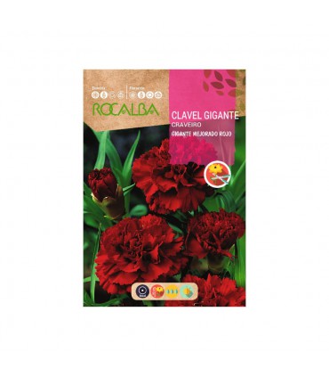 ROCALBA SEMILLA CLAVEL GIGANTE ROJO 1UD