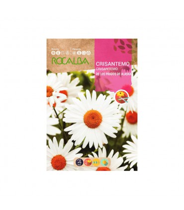 ROCALBA SEMILLA CRISANTEMO DE LOS PRADOS 1UD