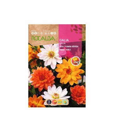 ROCALBA SEMILLA DALIA IDEAL 1UD