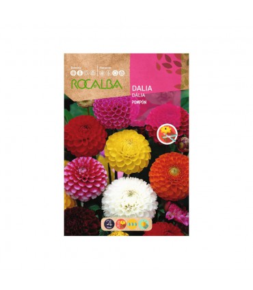 ROCALBA SEMILLA DALIA POMPON 1UD
