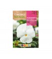 ROCALBA SEMILLA PENSAMIENTO BLANCO 1UD