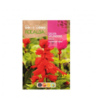 ROCALBA SEMILLA SALVIA SPLENDENS 1UD