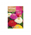 ROCALBA SEMILLA ZINIA FLOR DALIA GIG DLE VARIA 1UD
