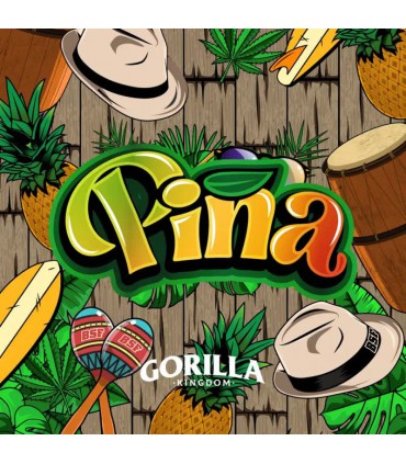 GORILLA PIÑA 100UDS BSF SEEDS