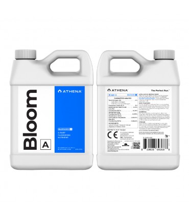 ATHENA BLOOM A 32OZ