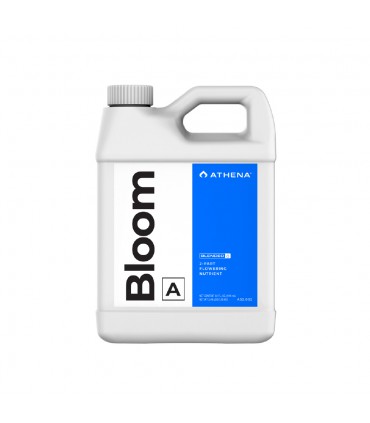 ATHENA BLOOM A 32OZ