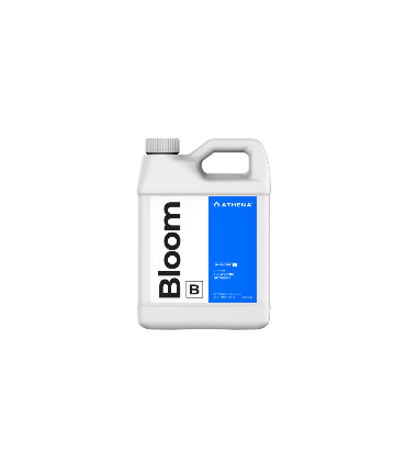 ATHENA BLOOM B 32OZ