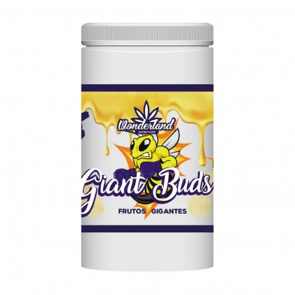 GIANT BUD 52-34 1KG WONDERLAND