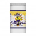 GIANT BUD 52-34 1KG WONDERLAND