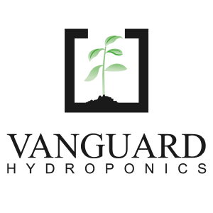 Vanguard