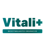 Vitali+